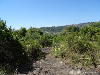 rre del Greco-17-05-2021 11